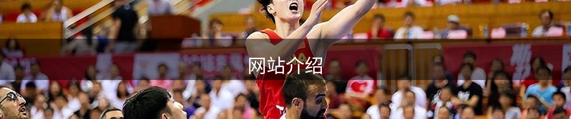 网站介绍